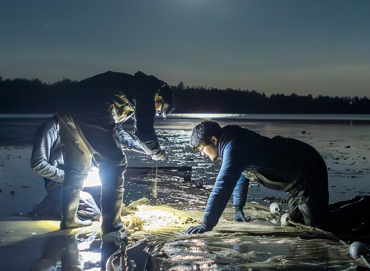 Three student researchers observe a net filled with fish on a dark night under a full moon